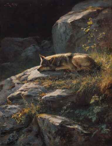 Il sogno del lupo