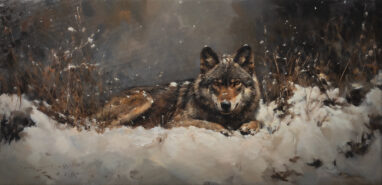 Pintura al óleo de un Lobo ibérico tumbado en la nieve