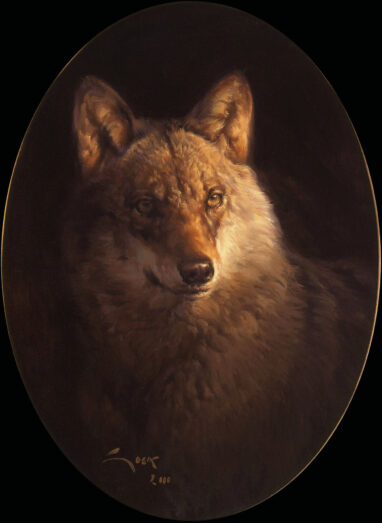 Pittura del lupo iberico.