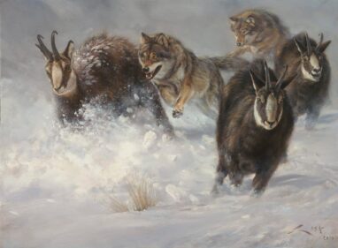 Pittura di camoscio e pittura di lupi