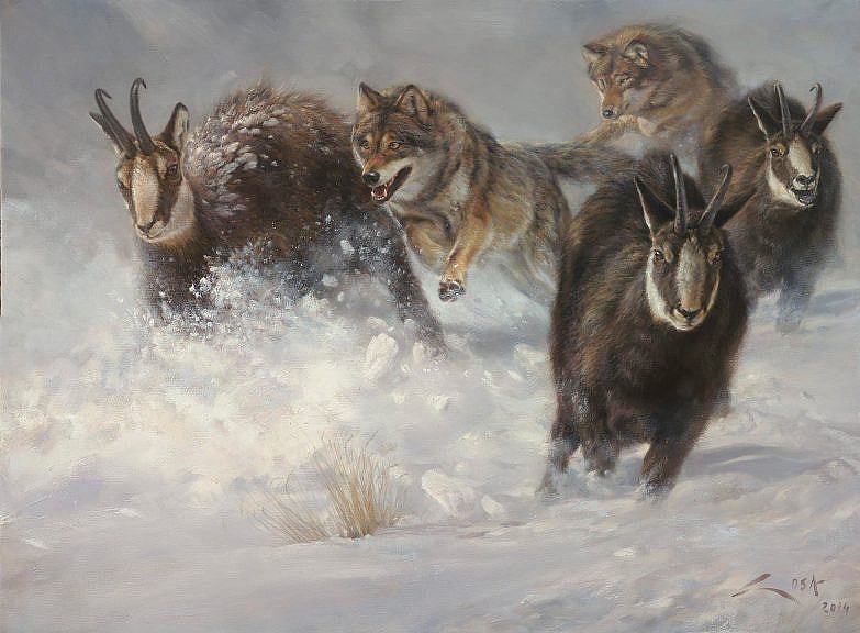 Peinture sur chamois et peinture sur loup
