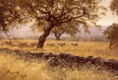 Pittura di pecore merinos