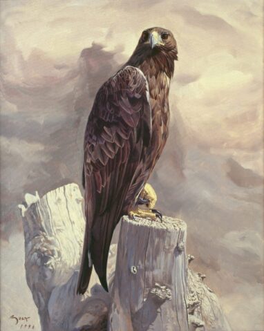 Aguila real - ‘Nerea’" - pinturas
