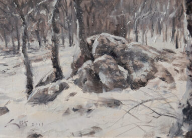 Snowy grove in Moralzarzal - sierra de Guadarrama