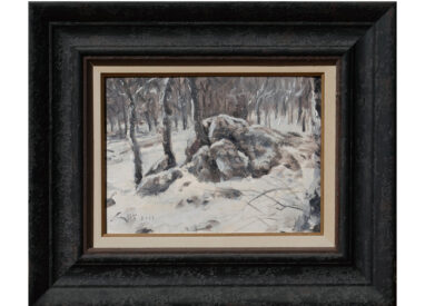 Rebollar nevado en Moralzarzal - sierra de Guadarrama