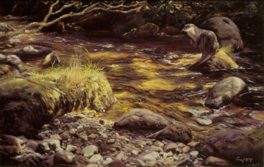 Nutria en un rio - pintura de nutria