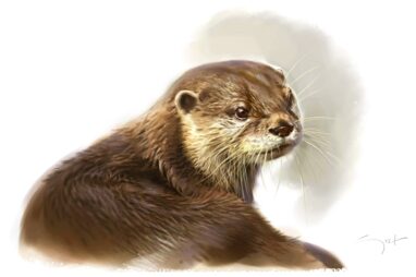 Retrato de nutria