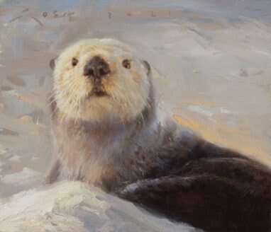 sea otter (Enhydra lutris)