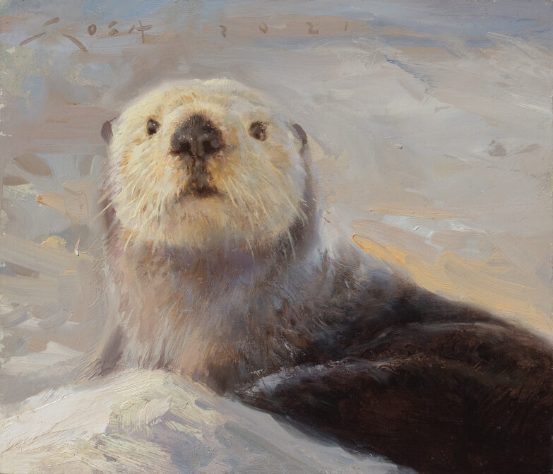 sea otter (Enhydra lutris)