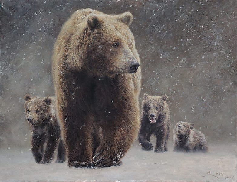 Brown Bear ( Ursus arctos ) and cubs