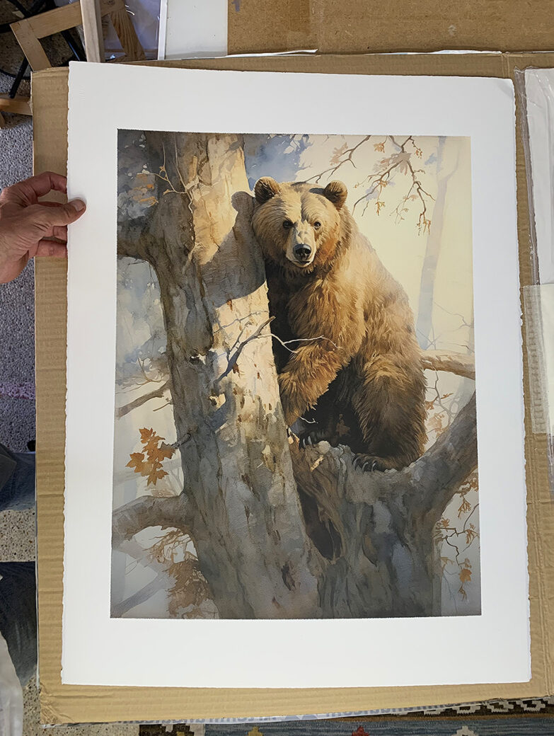 Edición limitada en Acuarela de un oso pardo trepando un arbol