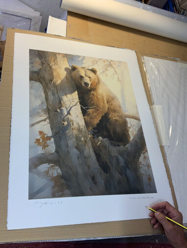 Manuel Sosa firmando la Edición limitada en Acuarela de un oso pardo trepando un arbol