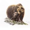 painting of Brown Bear and bear cub