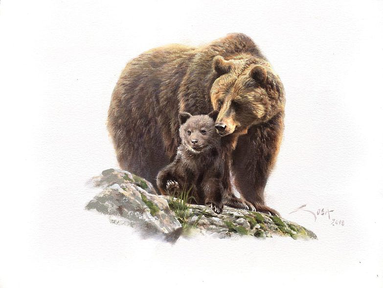 dipinto di orso bruno e cucciolo d'orso