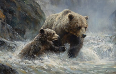 A brown bear and its cub crossing the river Saja