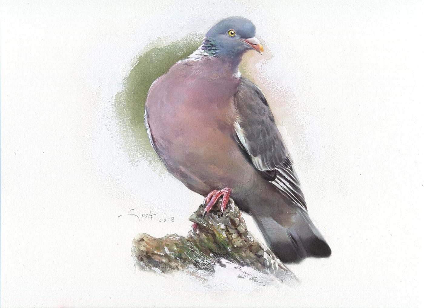 Wood pigeon painting