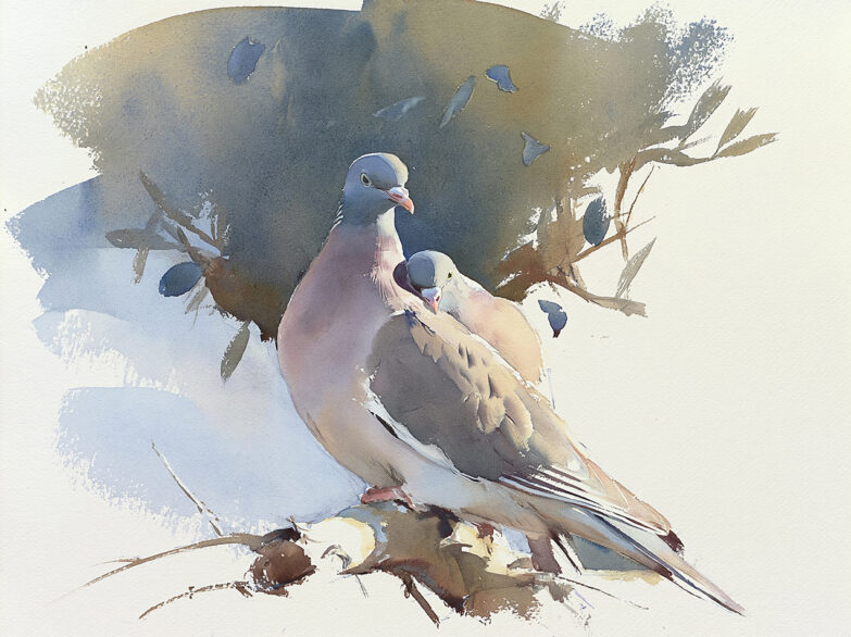 Pintura a la acuarela de dos palomas torcaces juntas.