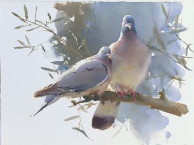 Pintura a la acuarela de dos palomas en una rama.