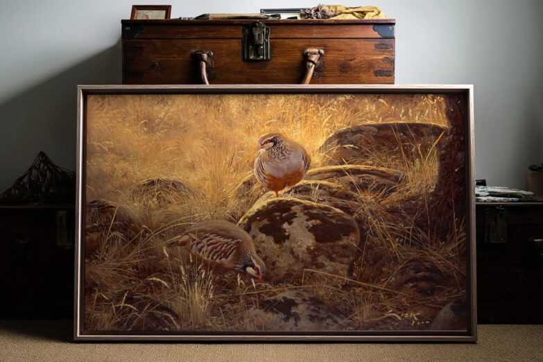 Perdices en Septiembre – Bild 2