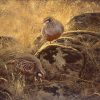 Partridges in September painting