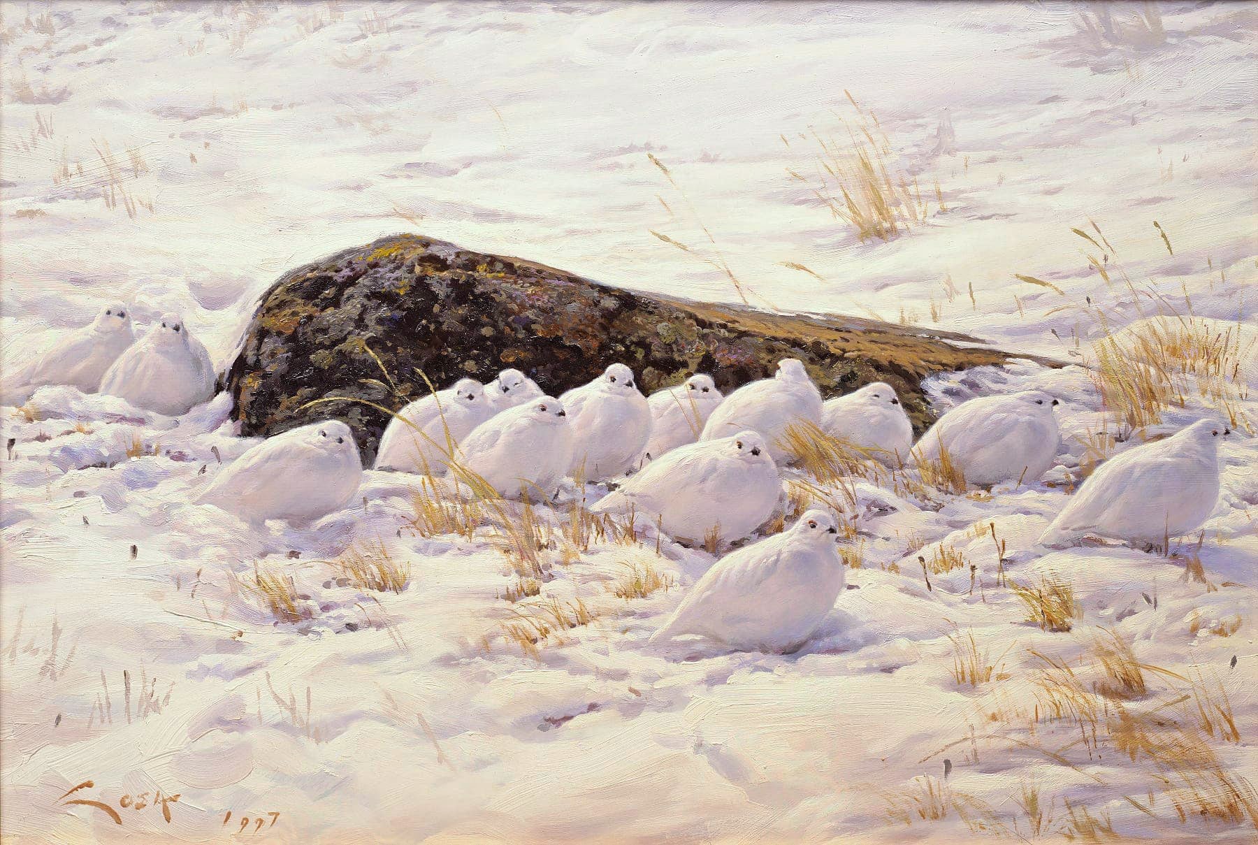 Gemälde des Alpenschneehuhns (Lagopus mutus) in den Hochpyrenäen. Gemälde eines Schneehuhns