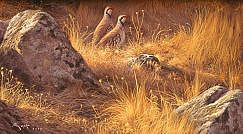 Painting of partridges
