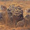 Painting of red partridges and thistles