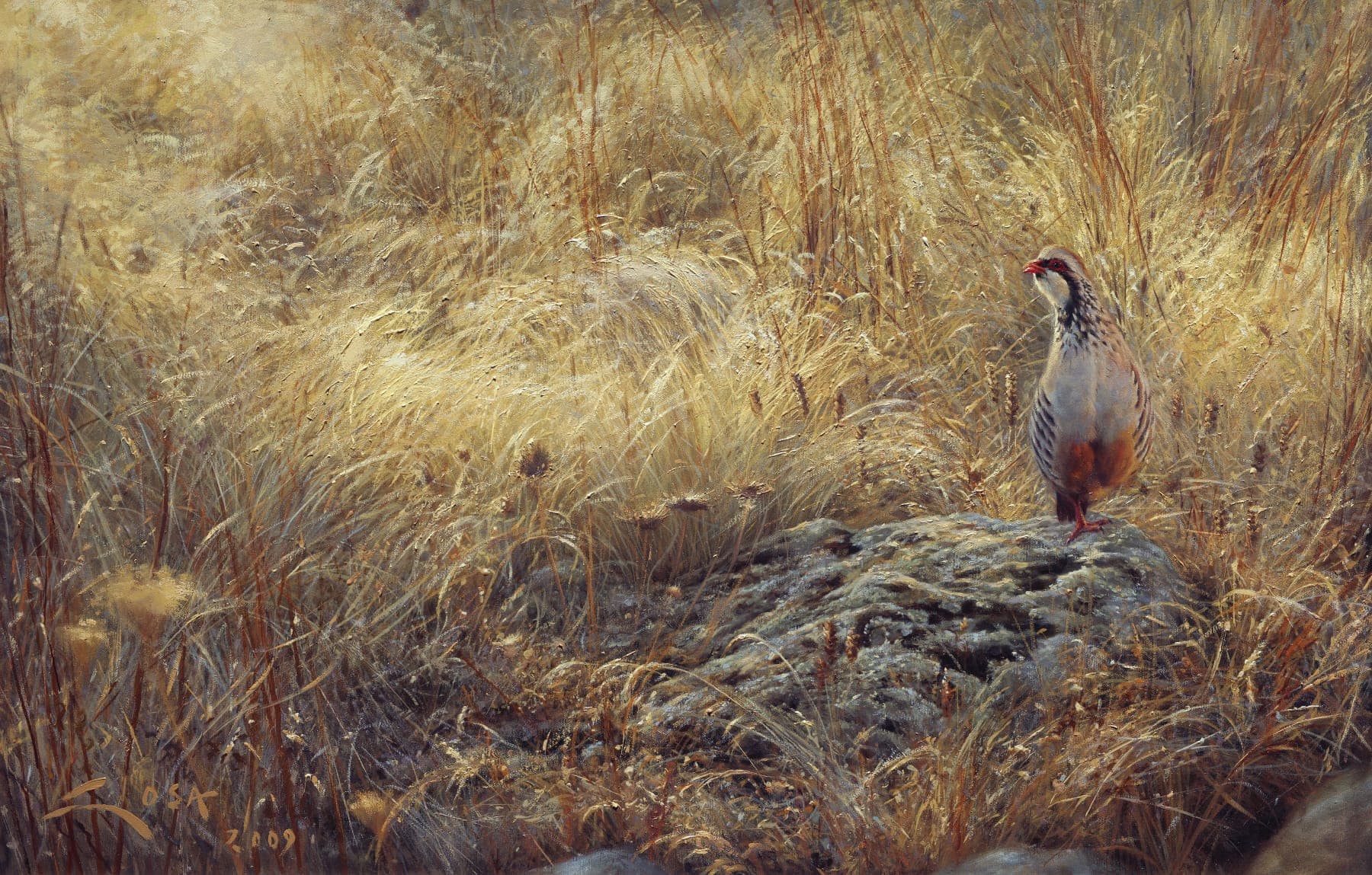 Red partridge in August painting