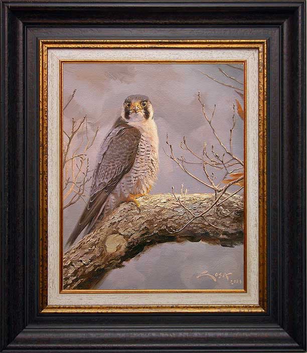 Peregrine falcon painting