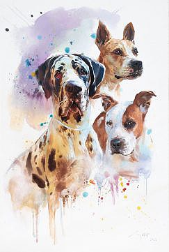 Portrait de trois chiens