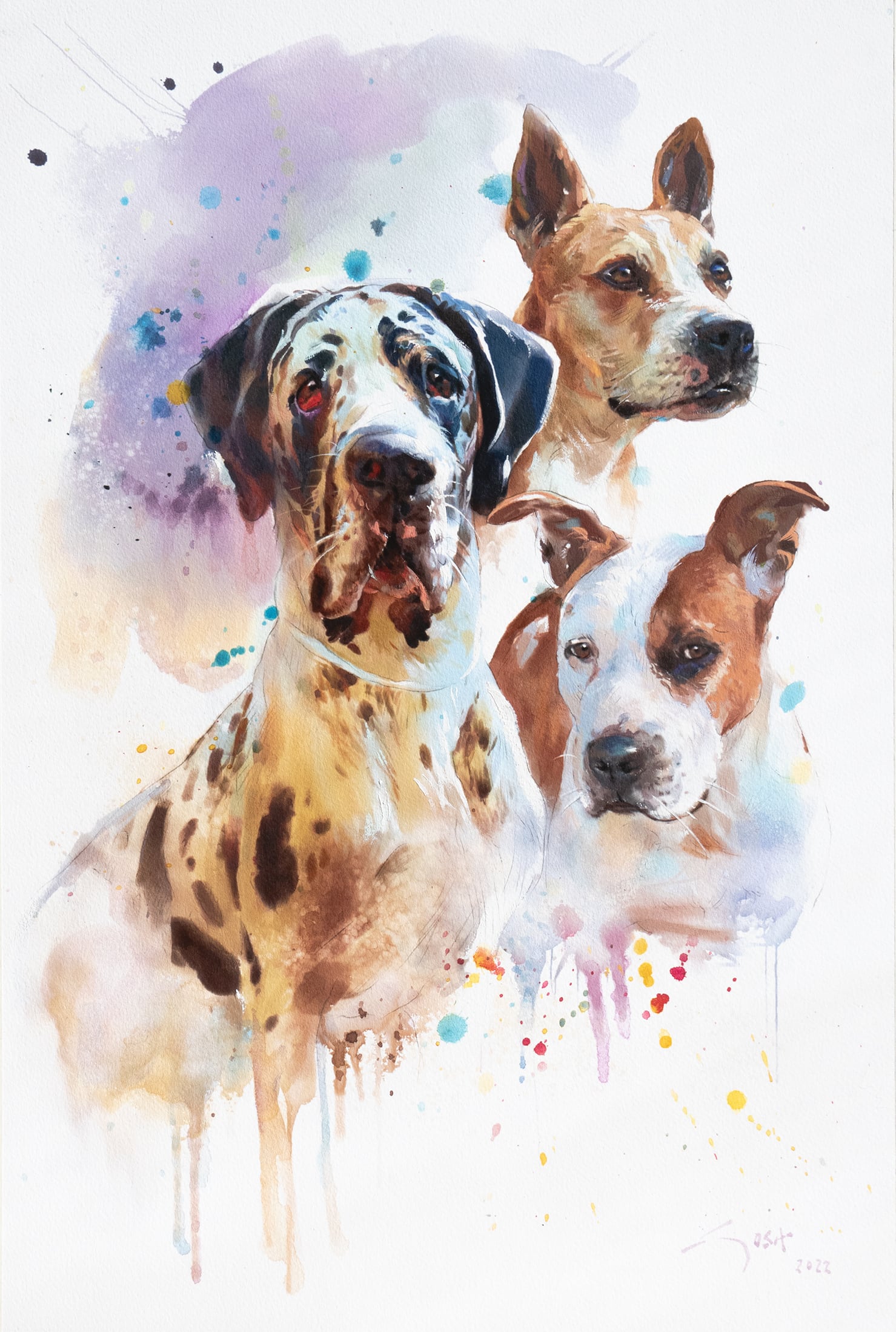 Portrait of three dogs