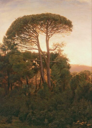 Tramonto tra i pini - dipinto