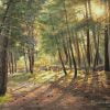 Pine forests landscape painting