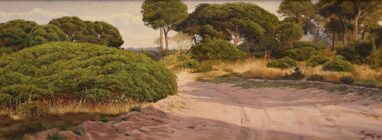 Camino a La Algaida - Pinos piñoneros - olio su tavola
