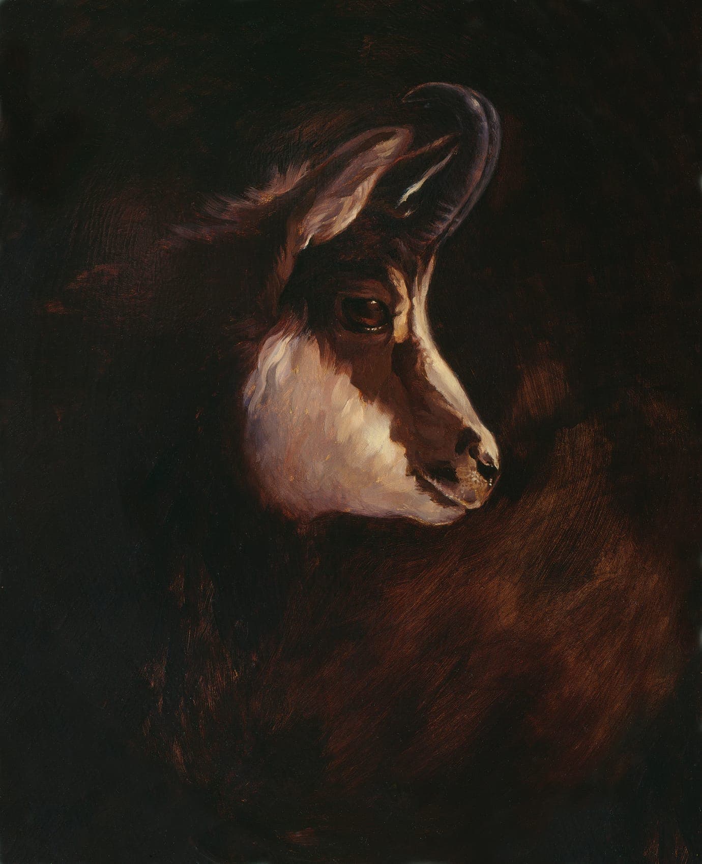 Painting of a Chamois