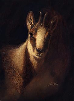 Painting of Chamois