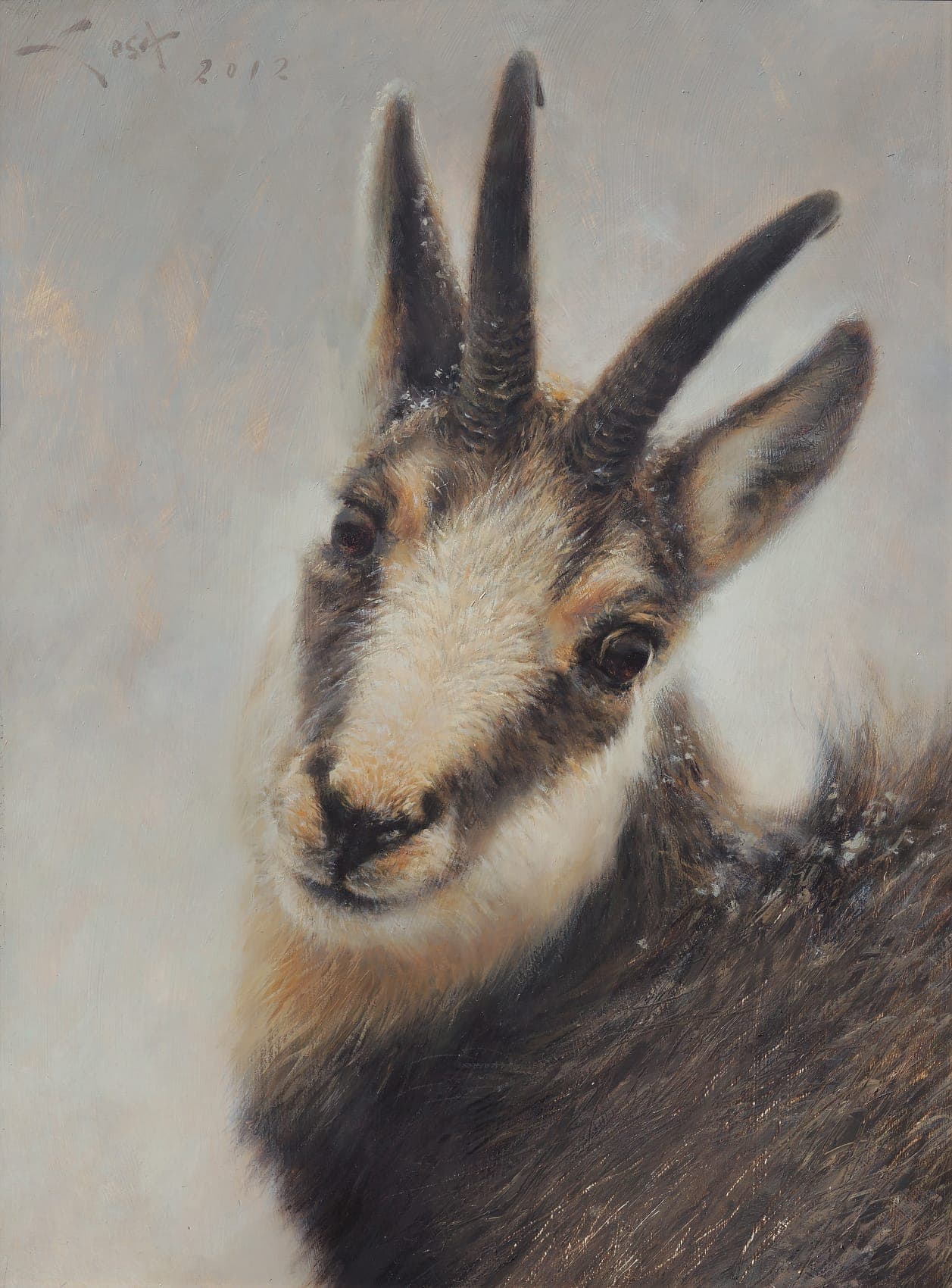 oil painting of a Chamois