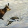 Painting of a Chamois in the snow