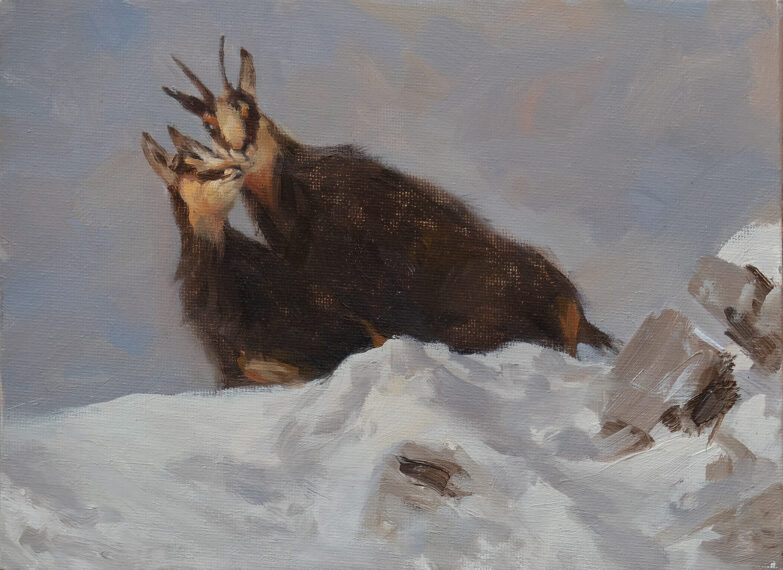 Un camoscio e il suo vitello in posa sulla neve. Olio su tela © Manuel Sosa 2023