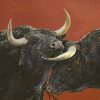 Bull (Bos primigenius taurus)