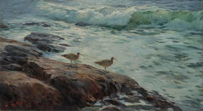 Pintura de Dos Zarapitos en una costa rocosa de Cádiz
