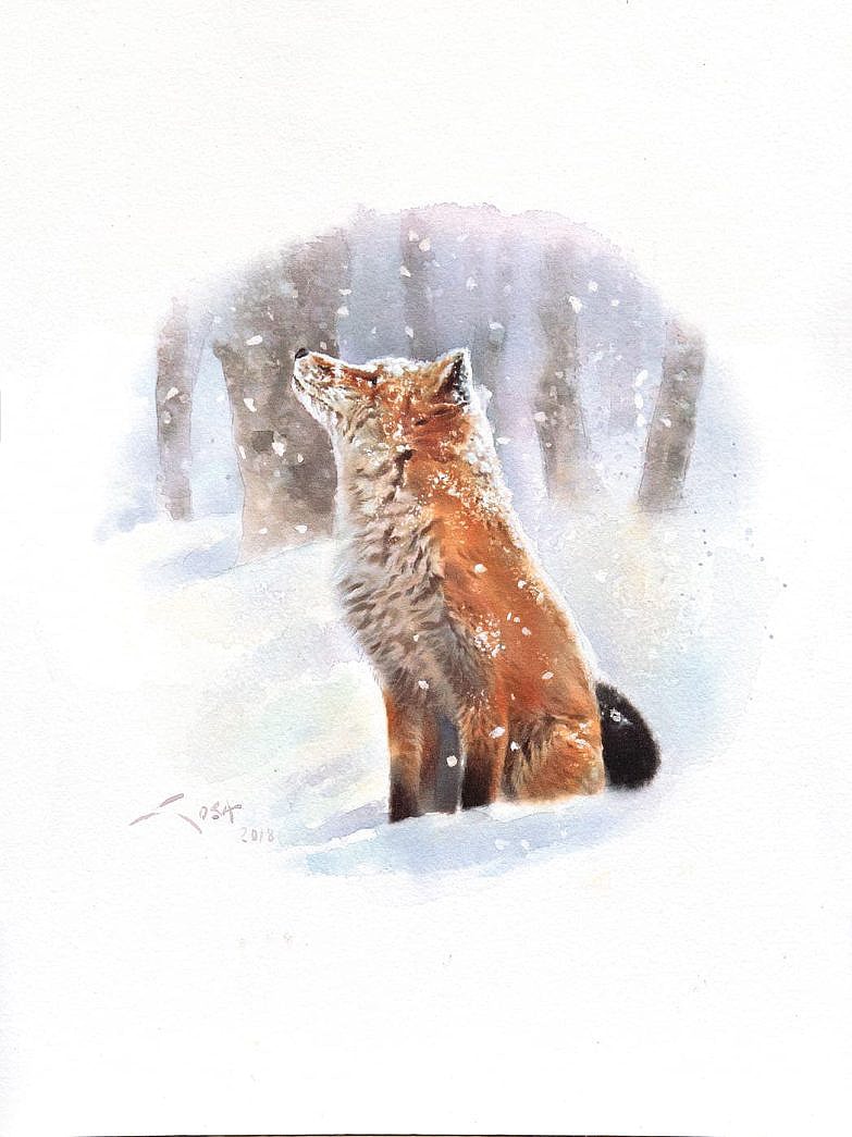 fox painting - watercolour