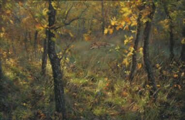 Volpe che annusa - pittura