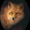 A fox painted in oil