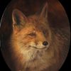 Fox oil painting